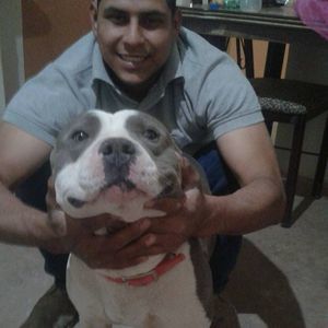 Meet your Posher, Jesus hector